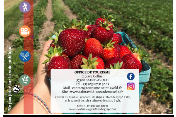 Calendrier des animations juillet & août 2025