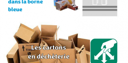 Chaque carton sa destination ! 📦